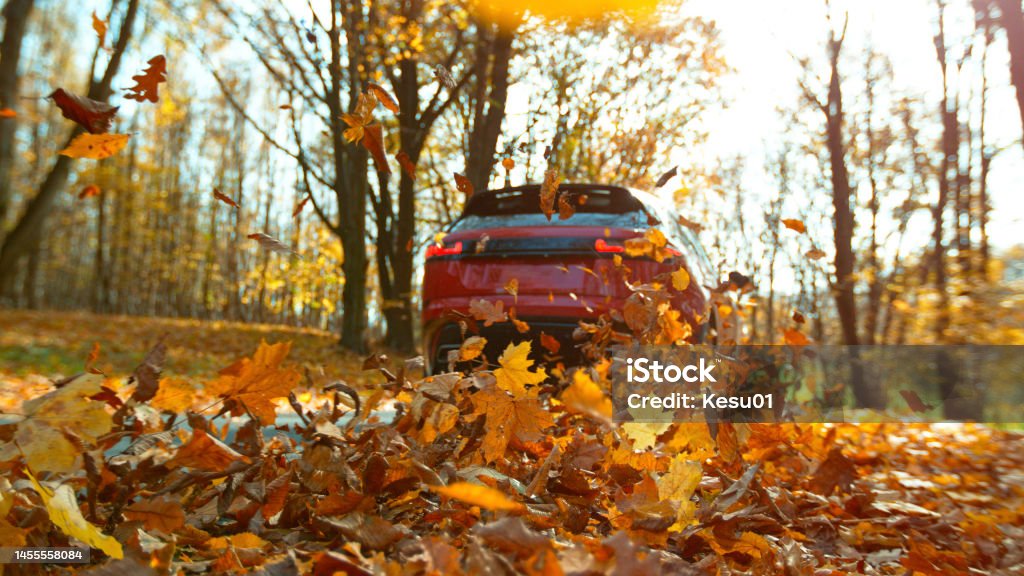 Fall Car Care Month